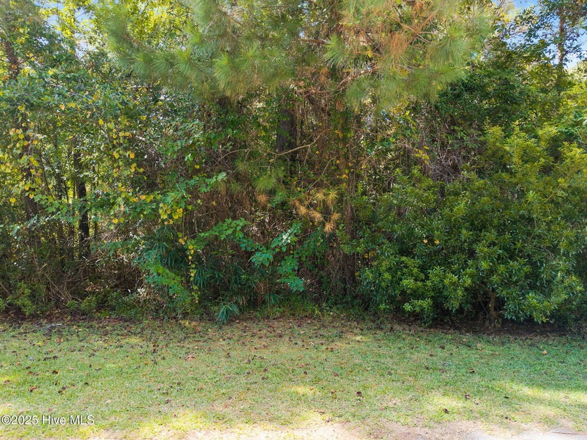 Fantastic opportunity to own a great corner lot less than 4 - Beach Lot for sale in Supply, North Carolina on Beachhouse.com