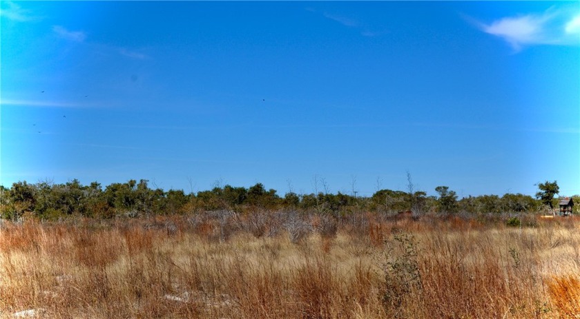 GREAT LOCATION FOR A BUSINESS!  OR a barndominium with no - Beach Acreage for sale in Aransas Pass, Texas on Beachhouse.com