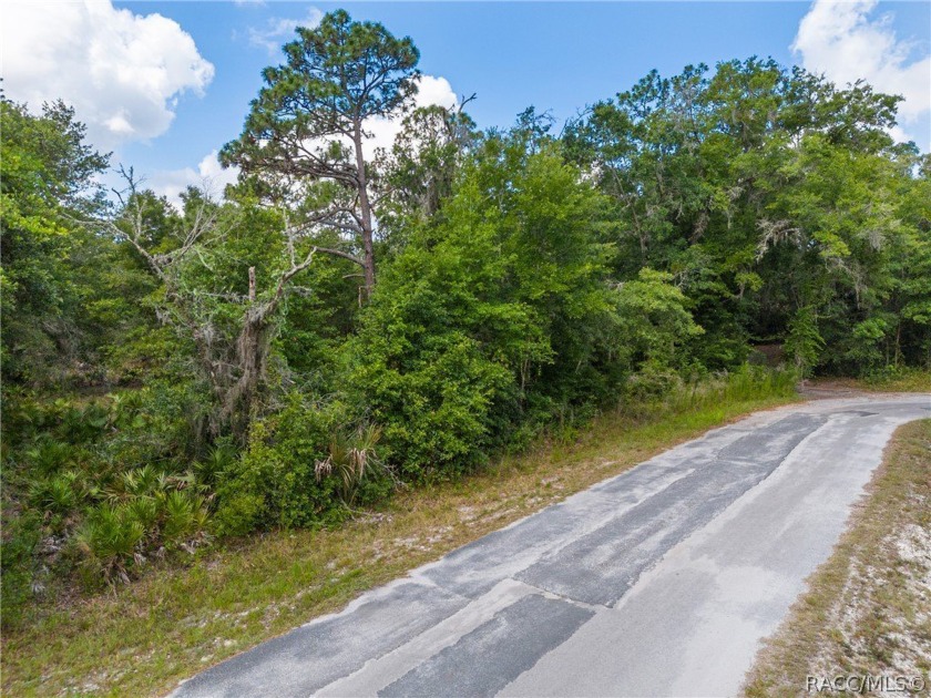 This 1.05 acre lot is ready for your future home! Single Family - Beach Lot for sale in Crystal River, Florida on Beachhouse.com