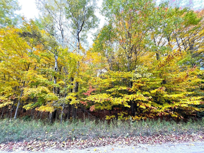 PARK LIKE SITE FOR SALE CLOSE TO CHEBOYGAN. This lot has - Beach Lot for sale in Cheboygan, Michigan on Beachhouse.com