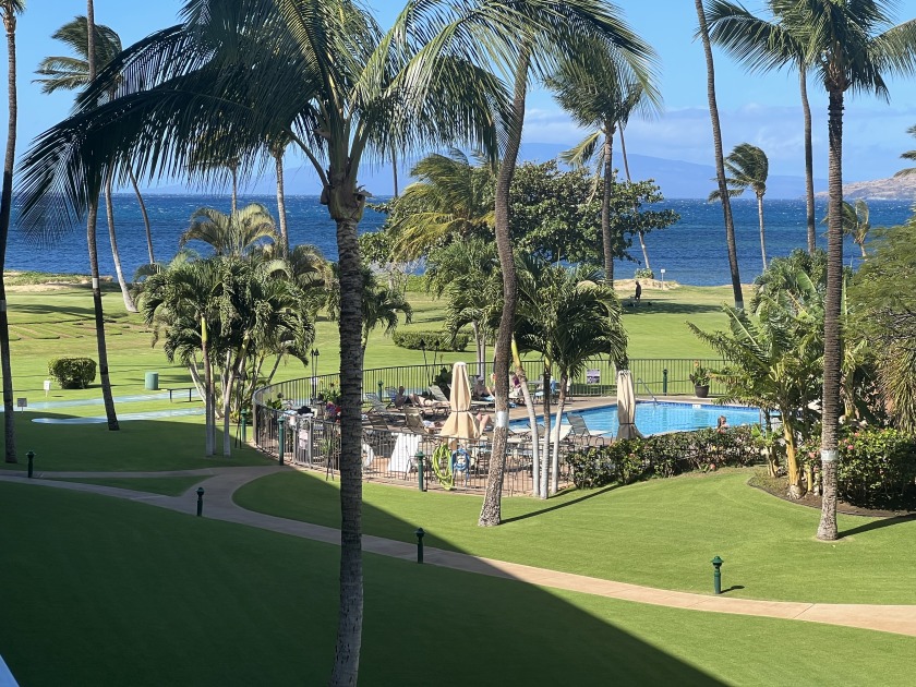Oceanview suite nicely renovated B310 at Maui - Beach Vacation Rentals in Kihei, Hawaii on Beachhouse.com