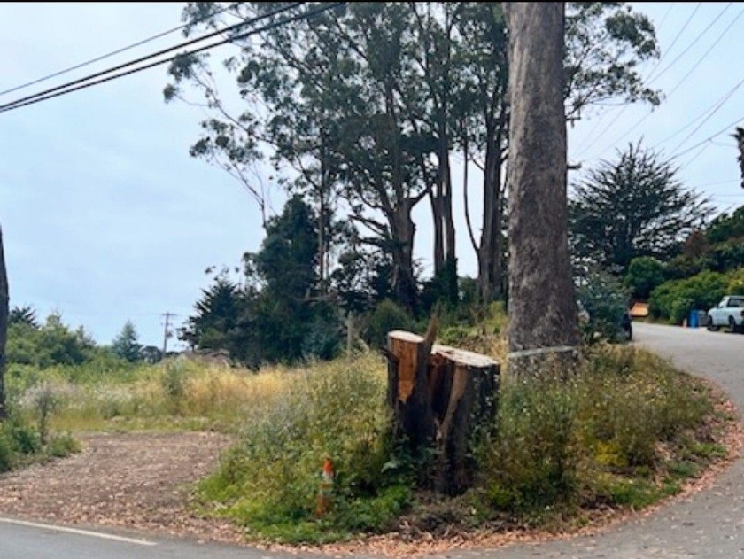 Discover the perfect canvas for your dream home in Moss Beach! - Beach Lot for sale in Moss Beach, California on Beachhouse.com