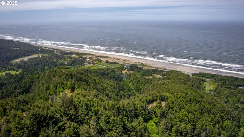 94.20 Acres of Pacific Northwest Paradise - Ophir, Oregon. Build - Beach Acreage for sale in Gold Beach, Oregon on Beachhouse.com