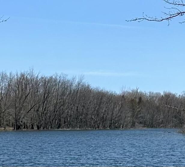 This prime spot offers nearly 4 acres of mostly wooded, vacant - Beach Acreage for sale in Alpena, Michigan on Beachhouse.com