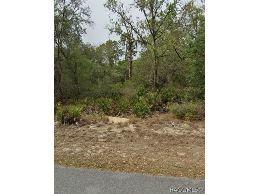 Over 1 Acre Lot in the popular Crystal Manor subdivision. Nice - Beach Lot for sale in Crystal River, Florida on Beachhouse.com