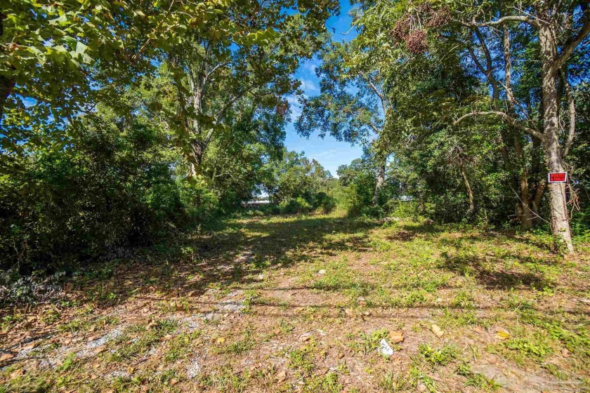 This lot offers many options with its zoning. It is a partially - Beach Lot for sale in Pensacola, Florida on Beachhouse.com