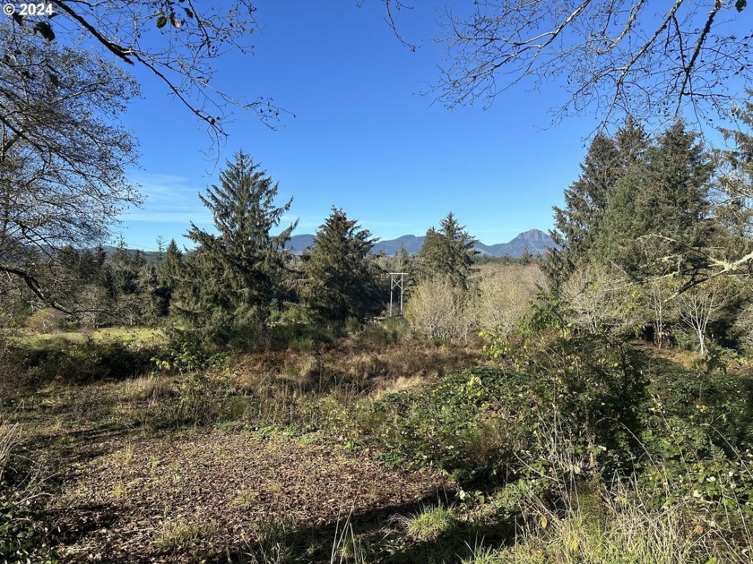 Discover the potential of this 3.7-acre property with North Fork - Beach Lot for sale in Nehalem, Oregon on Beachhouse.com