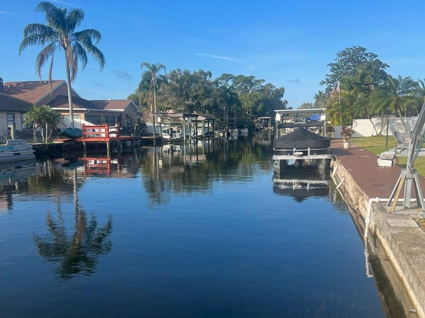 WATERFRONT DREAM WITH DOCK AND DAVITS! Direct access to Lake - Beach Home for sale in Palm Harbor, Florida on Beachhouse.com