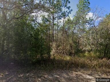 This lot and adjacent lot available at 19,500 each.  Located in - Beach Lot for sale in Weeki Wachee, Florida on Beachhouse.com