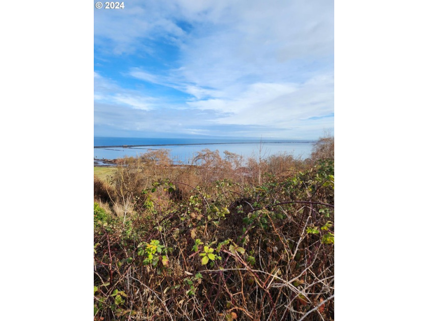 Ocean View !!! Seller will consider Contract terms. Buyer to do - Beach Lot for sale in Port Angeles, Washington on Beachhouse.com
