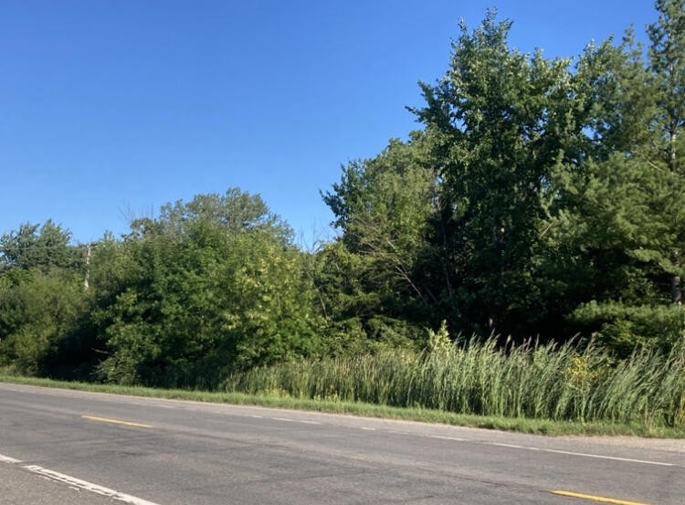 Attention Investors! This 36-acre, R1 zoned, parcel is now - Beach Acreage for sale in Three Oaks, Michigan on Beachhouse.com