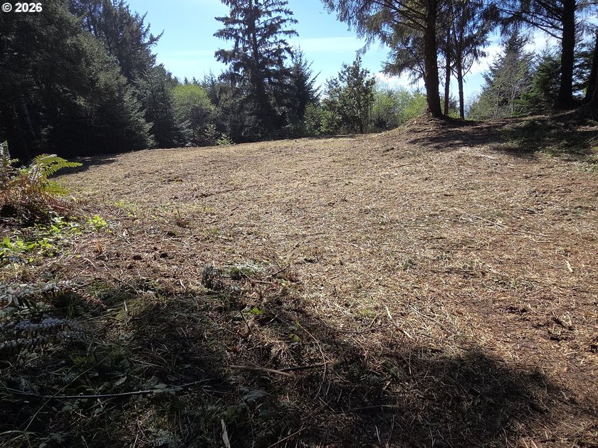 Oceanfront Acreage with Privacy, Views & Ready-to-Build Features - Beach Lot for sale in Gold Beach, Oregon on Beachhouse.com