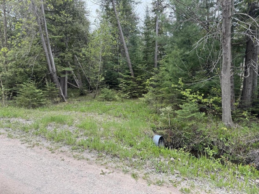 Great location with access from M-68 Hwy or Fisher Trail include - Beach Acreage for sale in Alanson, Michigan on Beachhouse.com