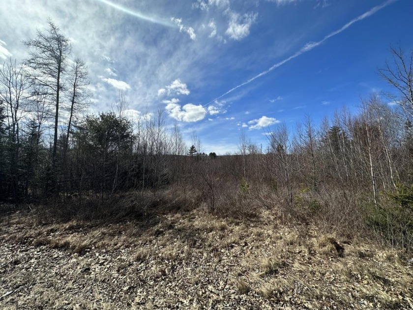 Come check out this beautiful 9.6 acre lot in the nice town of - Beach Lot for sale in Franklin, Maine on Beachhouse.com