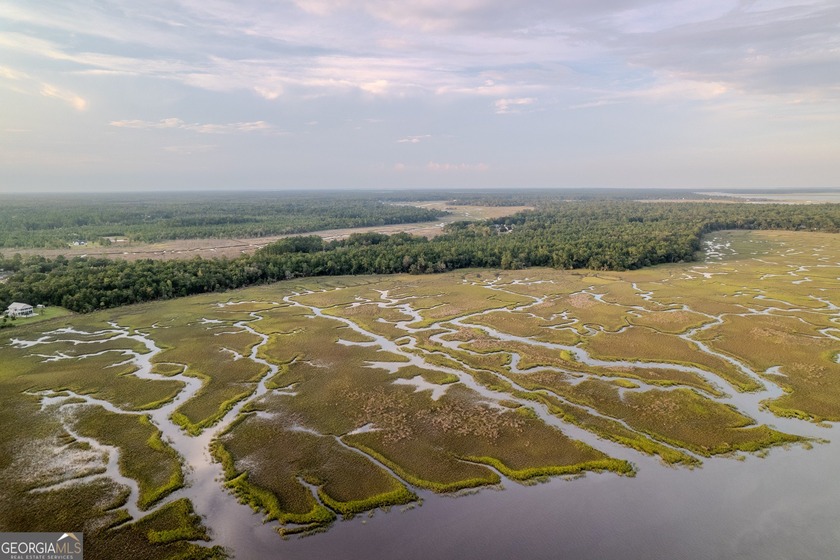 DISCOVER 11.67 ACRES OF PRISTINE WATERFRONT PROPERTY, INCLUDING - Beach Acreage for sale in Woodbine, Georgia on Beachhouse.com