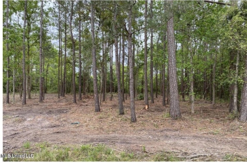Great lot in Timber Ridge Shores that is high and dry with views - Beach Lot for sale in Pass Christian, Mississippi on Beachhouse.com