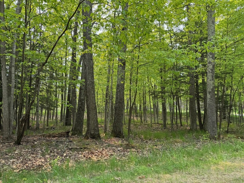 Fantastic opportunity to build your UP NORTH dream home located - Beach Lot for sale in Harbor Springs, Michigan on Beachhouse.com