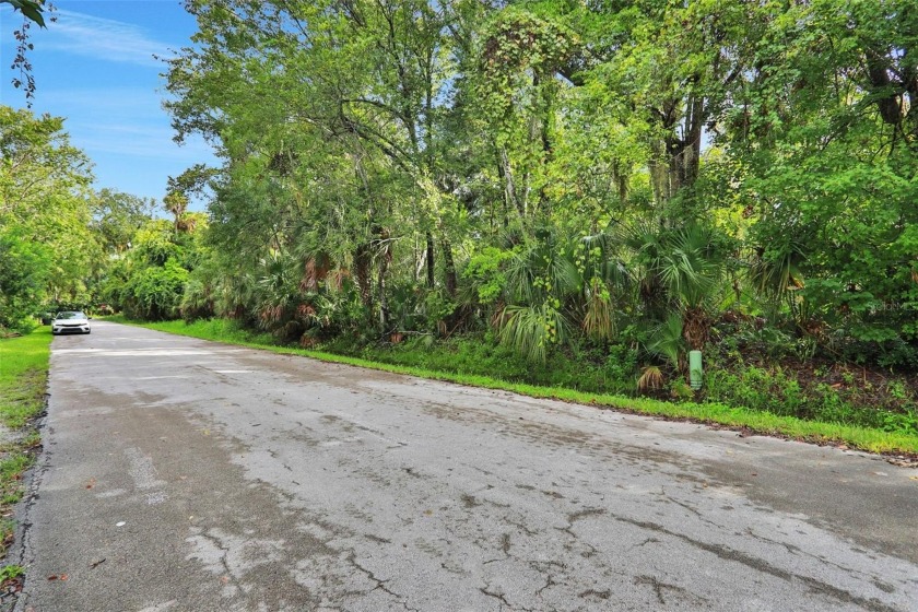 Build your dream home on this 1.10-acre residential lot in the - Beach Lot for sale in Ormond Beach, Florida on Beachhouse.com