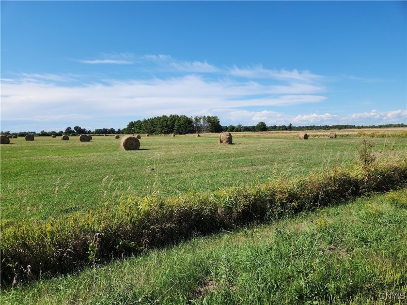 Check out this expansive 9.15-acre parcel located on Point - Beach Acreage for sale in Three Mile Bay, New York on Beachhouse.com