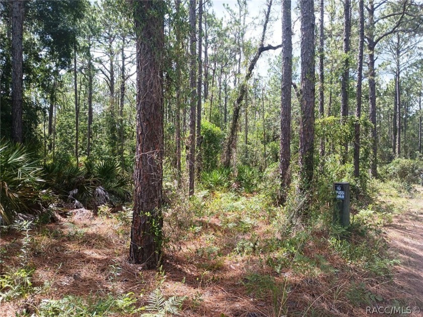 Beautiful 5.05 Acre lot to build your dream home in Crystal - Beach Acreage for sale in Crystal River, Florida on Beachhouse.com