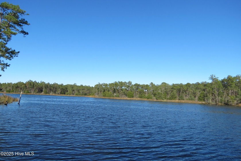 Beautiful waterfront acreage near Oriental and River Dunes!! - Beach Acreage for sale in Oriental, North Carolina on Beachhouse.com