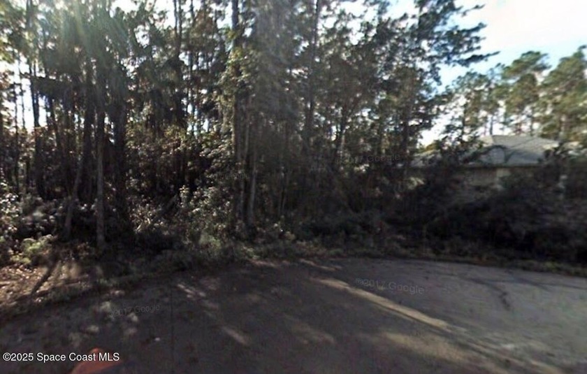 Your dream home awaits! Build on this beautiful quarter-acre lot - Beach Lot for sale in Palm Coast, Florida on Beachhouse.com