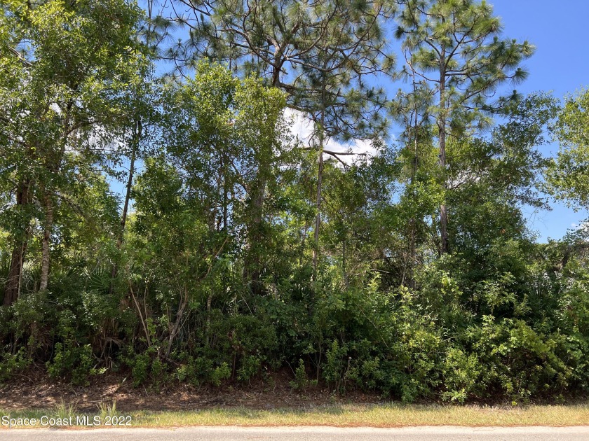 Looking to build your Florida dream home? Here is a lovely SE - Beach Lot for sale in Palm Bay, Florida on Beachhouse.com