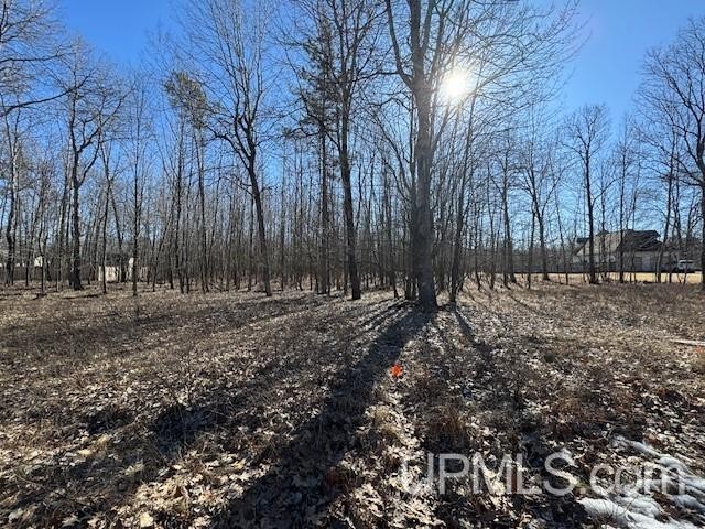 Explore the possibilities with the large one acre wooded lot in - Beach Lot for sale in Gladstone, Michigan on Beachhouse.com