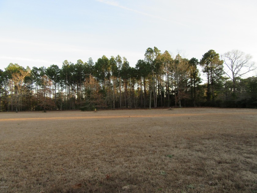 A piece of land on the Minnesott Golf and County Club with a - Beach Lot for sale in Arapahoe, North Carolina on Beachhouse.com