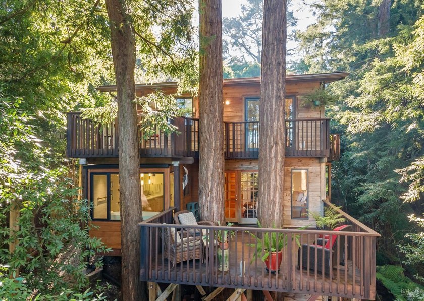 Set among towering redwoods on a quiet Mill Valley street, this - Beach Home for sale in Mill Valley, California on Beachhouse.com
