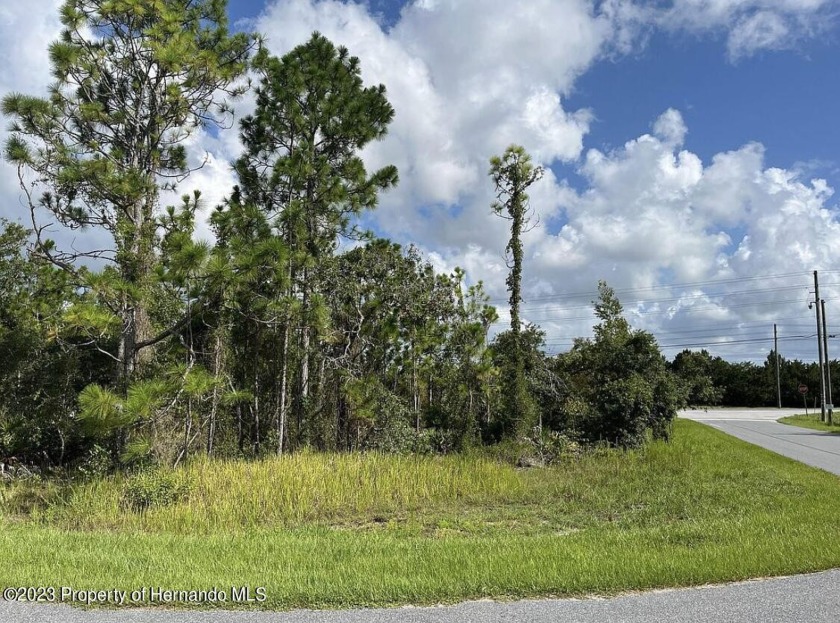 Seller is offering $5,000 credit to buyers towards fill, if - Beach Lot for sale in Weeki Wachee, Florida on Beachhouse.com