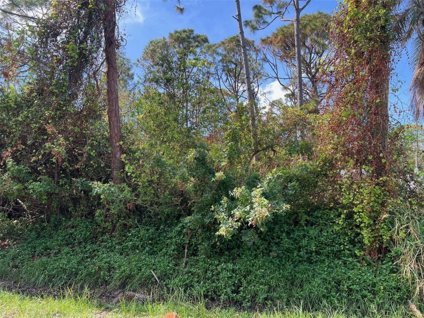 Awesome peaceful  tranquil South Venice lot is walking distance - Beach Lot for sale in Venice, Florida on Beachhouse.com