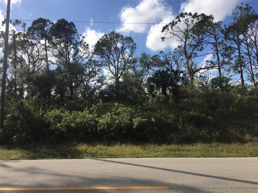 Vacant Lot close to shopping, restaurants, and golf courses - Beach Lot for sale in Port Charlotte, Florida on Beachhouse.com