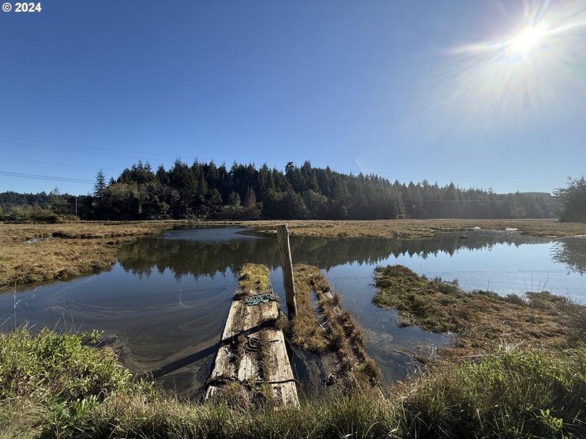 Discover your own 5.27 acre waterfront sanctuary along - Beach Acreage for sale in Coos Bay, Oregon on Beachhouse.com