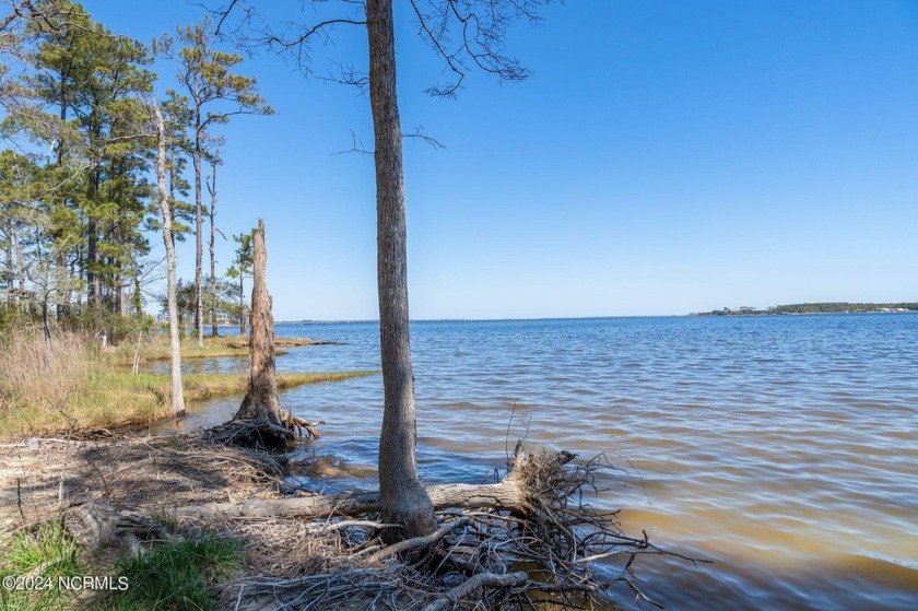 Waterfront Lot!  This nearly 1 acre lot is ready for a new owner - Beach Lot for sale in Aurora, North Carolina on Beachhouse.com
