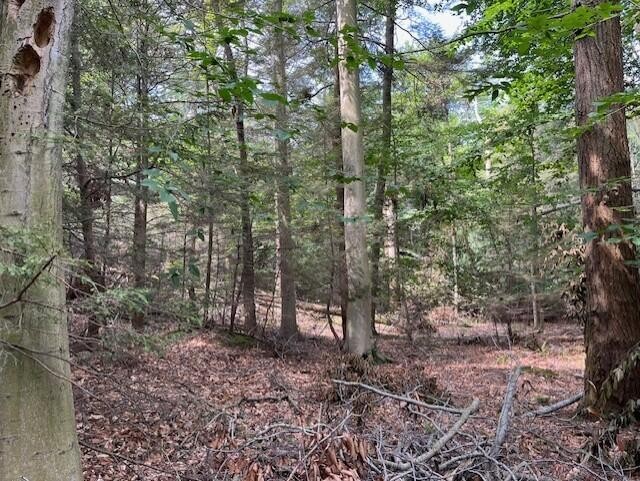 Beautiful lot with 1500' of Lake Michigan association access - Beach Lot for sale in Montague, Michigan on Beachhouse.com