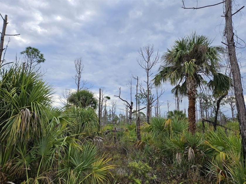 Welcome to your very own piece of paradise! Great location! - Beach Lot for sale in Port Charlotte, Florida on Beachhouse.com