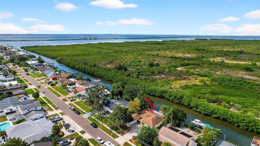 Boaters, secure your slice of coastal living before prices rise - Beach Home for sale in Tampa, Florida on Beachhouse.com
