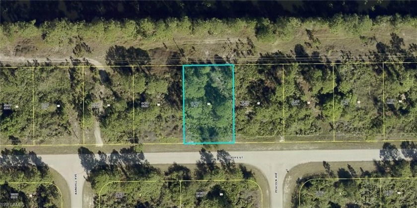 WATERFRONT LOT located in a peaceful area in Lehigh Acres - Beach Lot for sale in Lehigh Acres, Florida on Beachhouse.com