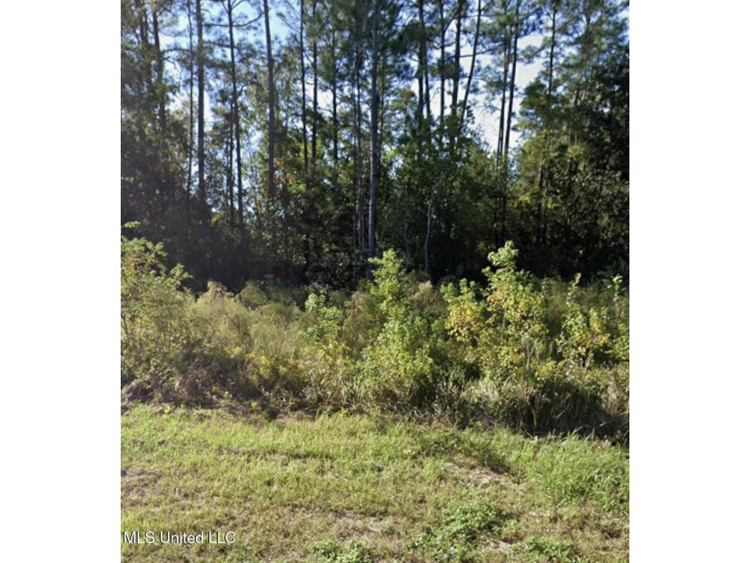 RARE opportunity in the Martin's Bluff area of Gautier. This - Beach Lot for sale in Gautier, Mississippi on Beachhouse.com