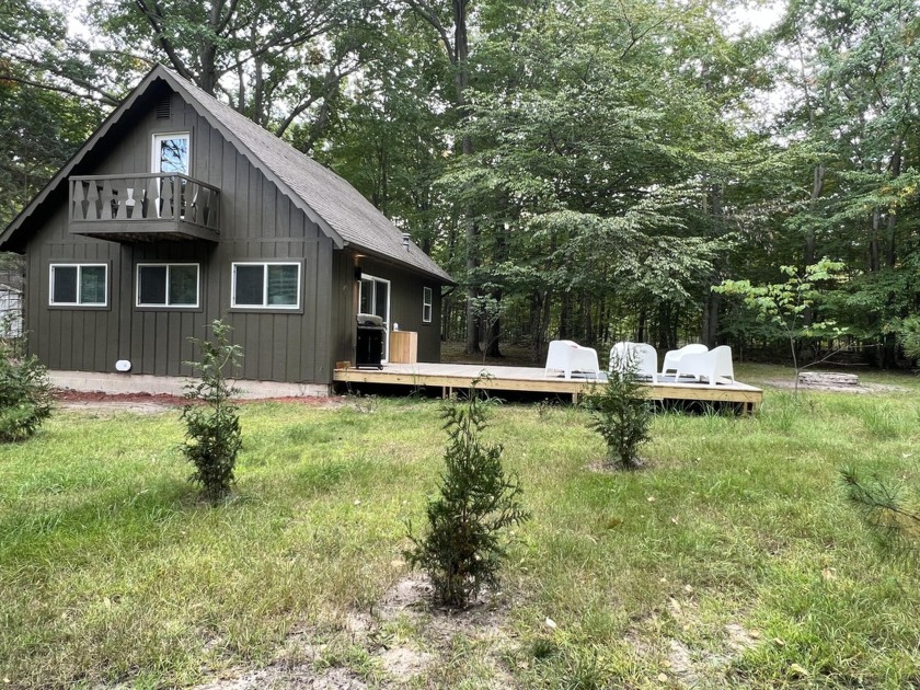 Completely renovated , fully furnished Chalet is just 1/2 mile - Beach Home for sale in Ludington, Michigan on Beachhouse.com