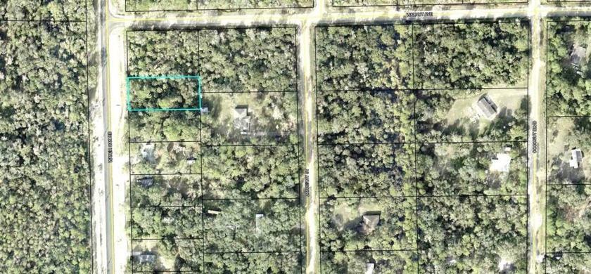 Nice 100 x 220' country lot zoned for Manufactured home or site - Beach Lot for sale in Bunnell, Florida on Beachhouse.com