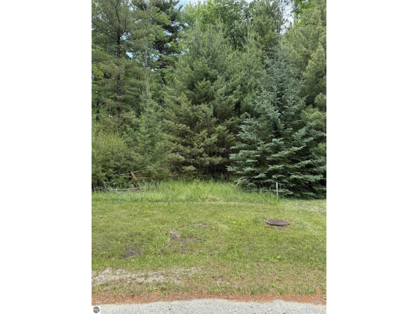 Discover the perfect canvas for your dream home at this - Beach Lot for sale in East Tawas, Michigan on Beachhouse.com