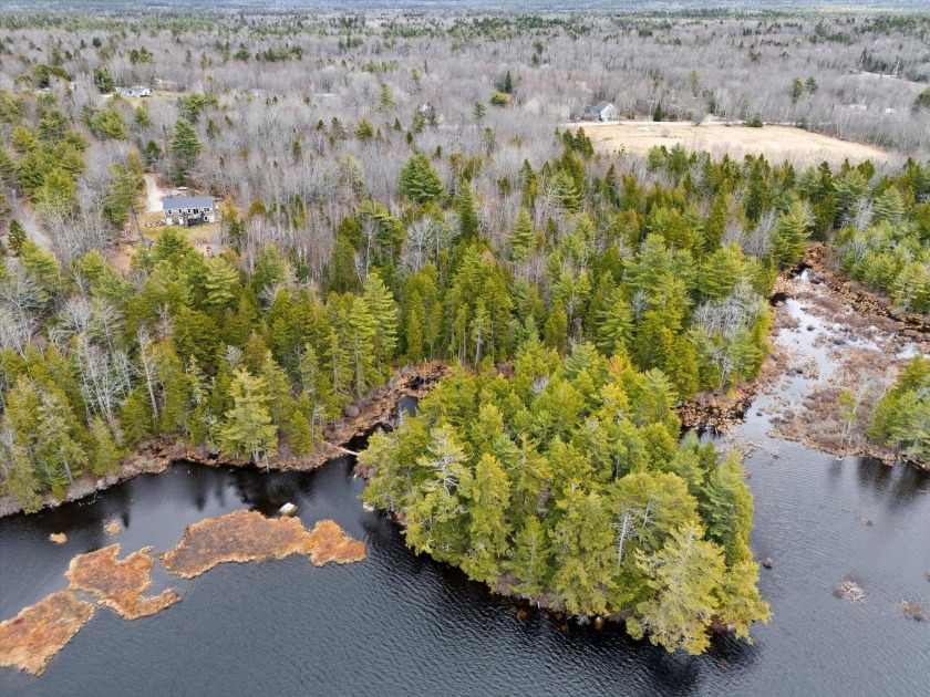 Discover the beauty and tranquility of this 10.2-acre parcel - Beach Acreage for sale in Blue Hill, Maine on Beachhouse.com