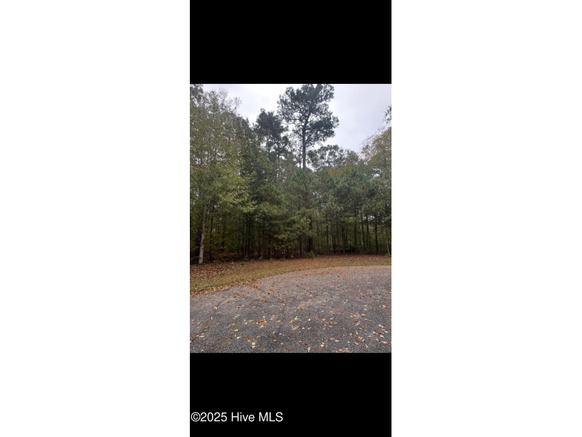 Wooded building home site. Oversized home site for your new - Beach Lot for sale in Hertford, North Carolina on Beachhouse.com