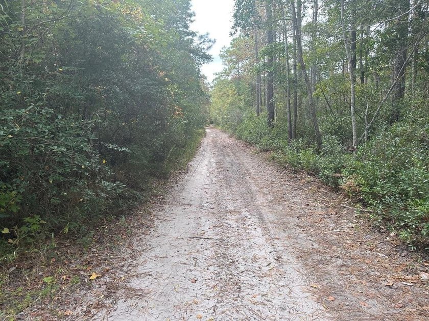 Brunswick County, North Carolina property near Holden Beach. A - Beach Acreage for sale in Shallotte, North Carolina on Beachhouse.com