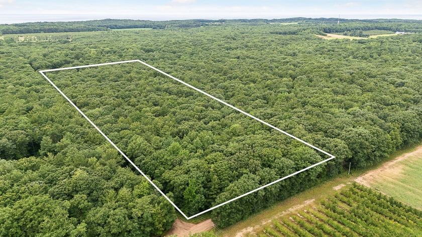 This secluded 10 acre property is just 10 minutes from the - Beach Acreage for sale in Shelby, Michigan on Beachhouse.com