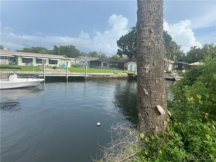 Custom build the home of your dreams on this beautiful lot in - Beach Lot for sale in Crystal River, Florida on Beachhouse.com