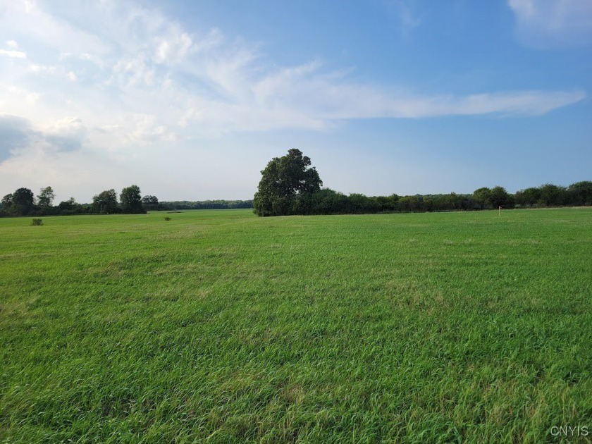 If you have been searching for a lot to build your dream home on - Beach Lot for sale in Chaumont, New York on Beachhouse.com