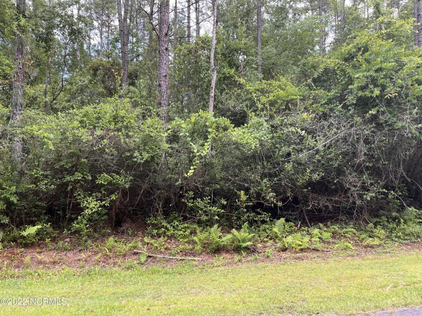 Come build your forever home on this cul-de-sac lot.  Hear the - Beach Lot for sale in New Bern, North Carolina on Beachhouse.com